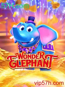 Explorando o Maravilhoso Mundo de WonderElephant